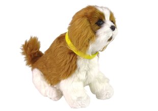 Интерактивная плюшевая собака ,,Кавалер'', белый/коричневый цена и информация | Мягкие игрушки | kaup24.ee