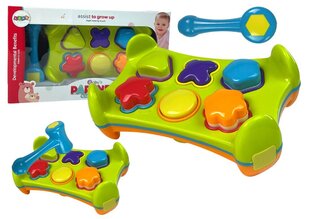 Kahepoolne sorteerija, LeanToys hind ja info | Imikute mänguasjad | kaup24.ee