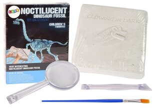 Arheoloogia kaevamiskomplekt, dinosauruse skelett 3D hologramm hind ja info | Arendavad mänguasjad | kaup24.ee