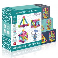 Magnetilised ehitusplokid Woopie, 28 цена и информация | Развивающие игрушки | kaup24.ee