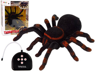 Kaugjuhitav ämbliktarantul hind ja info | Poiste mänguasjad | kaup24.ee