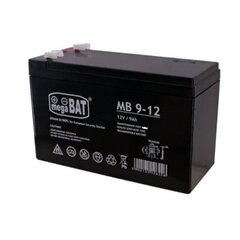 Аккумулятор для детского электромобиля 12V 9AH. цена и информация | Аккумуляторы | kaup24.ee