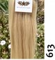 Looduslikud clip-in juuksepikendused Remy, heledad, 6 osa, 613 nr. цена и информация | Juuste aksessuaarid | kaup24.ee