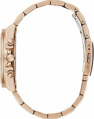 Женские часы Guess Сол GW0483L3 цена и информация | Женские часы | kaup24.ee