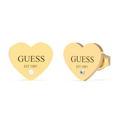 Guess kõrvarõngad Infinity Studs JUBE02182JWYGT/U hind ja info | Kõrvarõngad | kaup24.ee