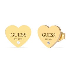 Kõrvarõngad Guess JUBE02255JWYG hind ja info | Guess Ehted | kaup24.ee