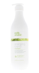 Juukseid tihendav šampoon Milk Shake Energizing Blend Shampoo, 1000 ml цена и информация | Шампуни | kaup24.ee