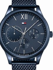 Meeste Kell Tommy Hilfiger 1791421 (ø 44 mm) цена и информация | Мужские часы | kaup24.ee