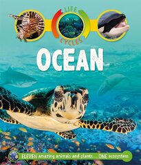 Life Cycles: Ocean цена и информация | Книги для подростков и молодежи | kaup24.ee