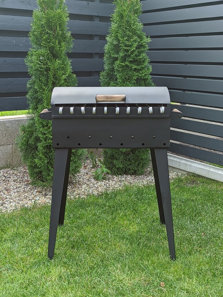 Grill kaanega 50x30, 3mm hind ja info | Šašlõkivannid | kaup24.ee