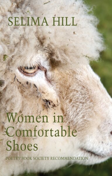 Women in Comfortable Shoes hind ja info | Luule | kaup24.ee