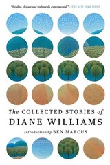 Collected Stories Of Diane Williams цена и информация | Фантастика, фэнтези | kaup24.ee