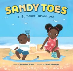 Sandy Toes: A Summer Adventure (A Let's Play Outside! Book) hind ja info | Väikelaste raamatud | kaup24.ee