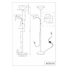 Põrandalamp Trio Erzwo R4393-87 цена и информация | Торшеры | kaup24.ee