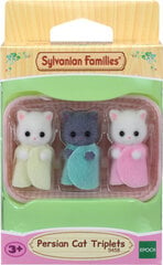 Набор фигурок Sylvanian Families Тройняшки персидских котов цена и информация | Игрушки для девочек | kaup24.ee