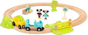 Brio rongikomplekt Disney, 32277 hind ja info | Poiste mänguasjad | kaup24.ee