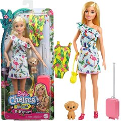 Nukk Chelsea Barbie kadunud sünnipäeval koos kutsikaga цена и информация | Игрушки для девочек | kaup24.ee