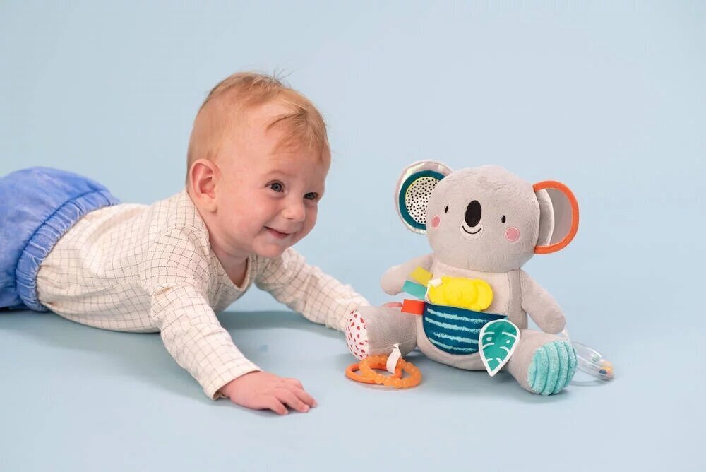 Riputatav pehme mänguasi-kõristi Taf Toys Kimmy Koala цена и информация | Imikute mänguasjad | kaup24.ee