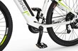 Elektriline jalgratas Ecobike SX3 14,5 Ah Greenway, valge hind ja info | Elektrirattad | kaup24.ee