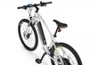 Elektriline jalgratas Ecobike SX3 14,5 Ah Greenway, valge hind ja info | Elektrirattad | kaup24.ee