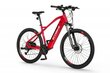 Elektriline jalgratas Ecobike SX4 14,5 Ah Greenway, punane hind ja info | Elektrirattad | kaup24.ee