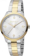 Женские часы Esprit ES1L164M0075 цена и информация | Женские часы | kaup24.ee