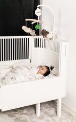 Музыкальная карусель Ratt Start Baby Owls цена и информация | Drewniana Wieża Piramida Kura Nakładanie Kolorowych Kwadratów LD-15 15276 | kaup24.ee