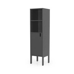 Шкаф для гостиной Aatrium Uno, серый цвет цена и информация | Шкафчики в гостиную | kaup24.ee
