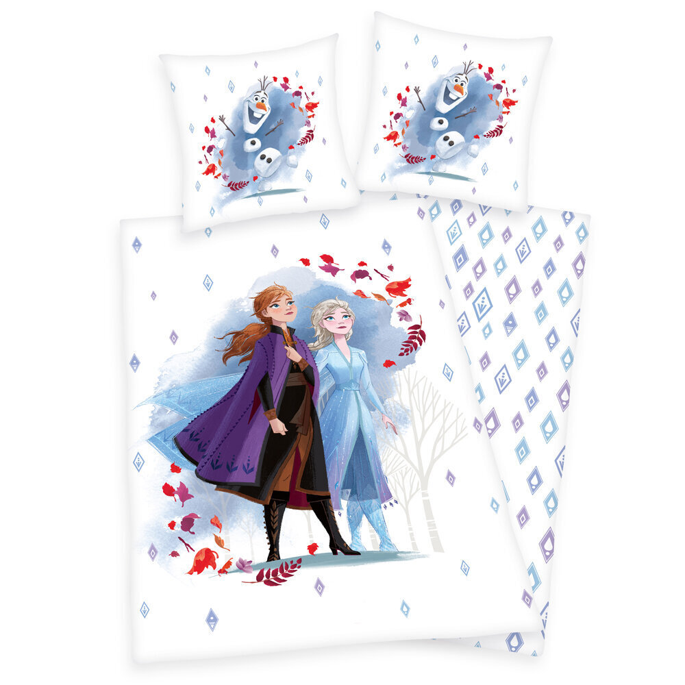 Herding ‘Frozen 2‘ Laps voodipesukomplekt, 140x200, 2tk цена и информация | Beebide ja laste voodipesu | kaup24.ee