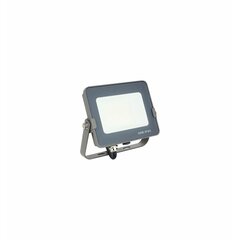 Прожектор Silver Electronics SMD2835  172030 5700k цена и информация | Фонарики, прожекторы | kaup24.ee