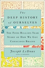 Deep History Of Ourselves: The Four-Billion-Year Story of How We Got Conscious Brains цена и информация | Книги по экономике | kaup24.ee