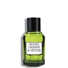 Tualettvesi Jeanne Arthes Lavande et Vetiver EDT meestele, 100 ml цена и информация | Мужские духи | kaup24.ee