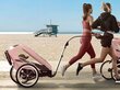 Hands-free käru Komplekt Cybex Zeno hind ja info | Jalgrattakärud | kaup24.ee