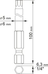 T20 ja T30 torx komplekt 100mm 2tk 0492 цена и информация | Механические инструменты | kaup24.ee