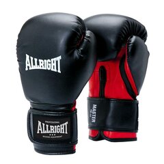 Боксерские перчатки Allright Master цена и информация | Боевые искусства | kaup24.ee