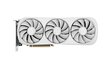 Zotac Gaming GeForce RTX 4070 Ti Trinity OC White Edition (ZT-D40710Q-10P) цена и информация | Videokaardid (GPU) | kaup24.ee