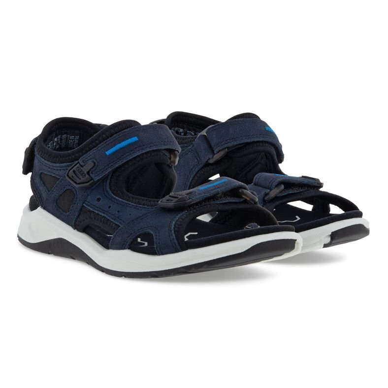 Laste sandaalid Ecco X-Trinsic hind ja info | Laste sandaalid | kaup24.ee