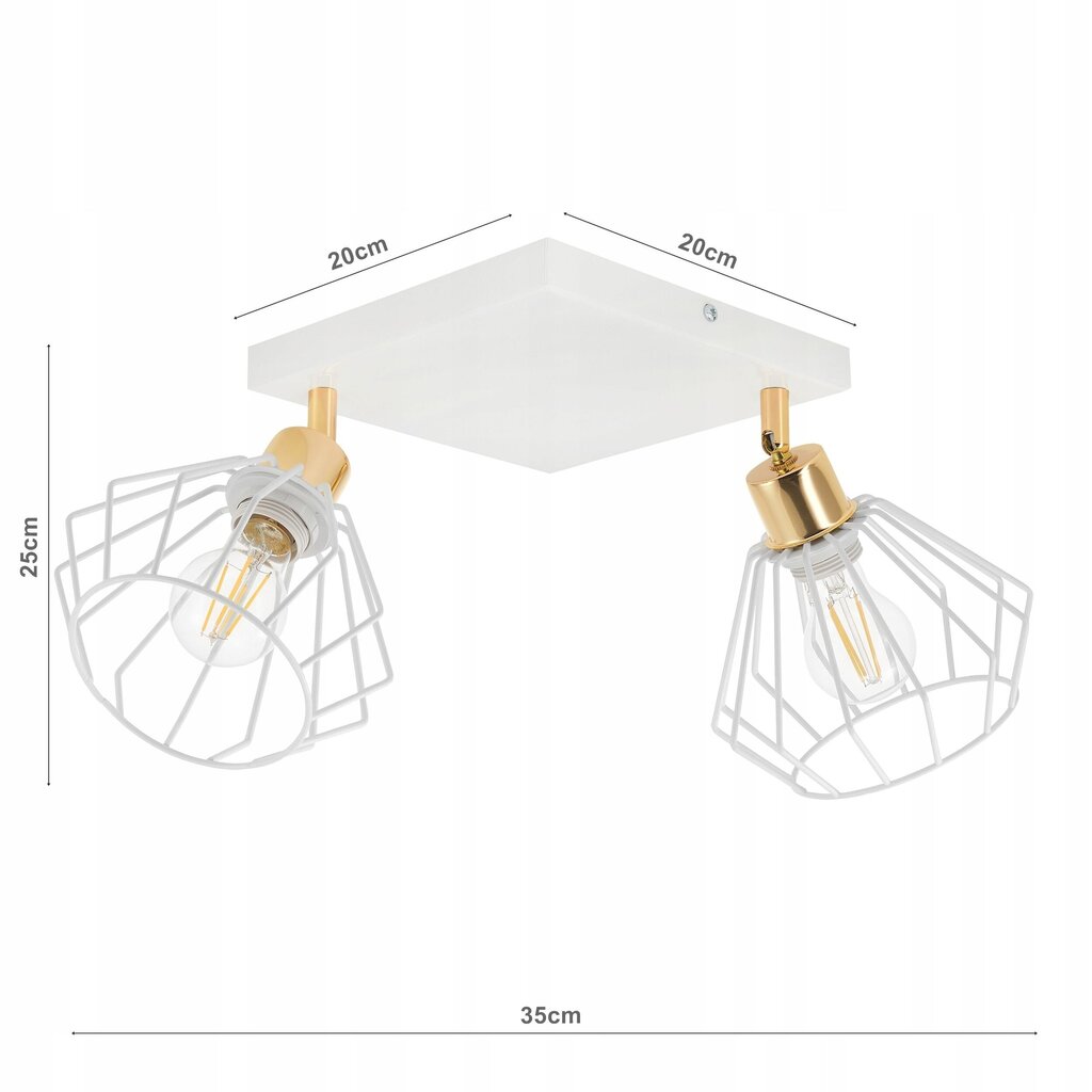 Ledlux laevalgusti hind ja info | Laelambid | kaup24.ee