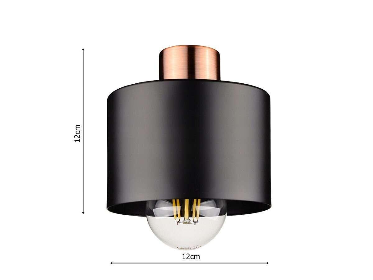 Ledlux ripplamp hind ja info | Rippvalgustid | kaup24.ee