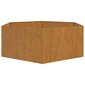 vidaXL taimekast, rooste, 120x120x45 cm, Corten teras hind ja info | Lillekastid | kaup24.ee