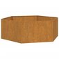 vidaXL taimekast, rooste, 120x120x45 cm, Corten teras hind ja info | Lillekastid | kaup24.ee