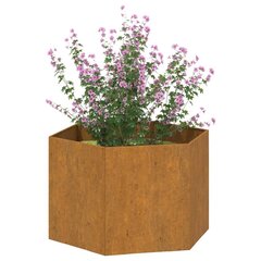 vidaXL taimekast, rooste, 60x60x45 cm, Corten teras hind ja info | Lillekastid | kaup24.ee