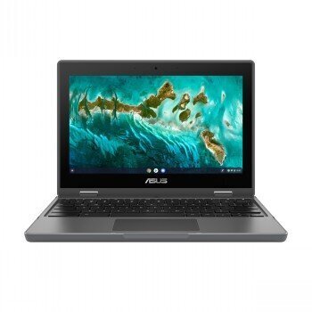 Asus Chromebook Flip CR1 CR1100 цена и информация | Sülearvutid | kaup24.ee