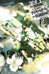 Is It Wrong to Try to Pick Up Girls in a Dungeon?, Vol. 13 (light novel) hind ja info | Fantaasia, müstika | kaup24.ee