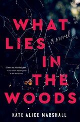 What Lies in the Woods: A Novel цена и информация | Фантастика, фэнтези | kaup24.ee