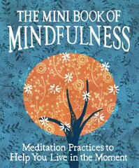 Mini Book of Mindfulness: Simple Meditation Practices to Help You Live in the Moment цена и информация | Самоучители | kaup24.ee