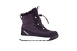 Viking laste talvesaapad AERY WARM GTX SL, tumehall-lilla hind ja info | Laste talvesaapad | kaup24.ee