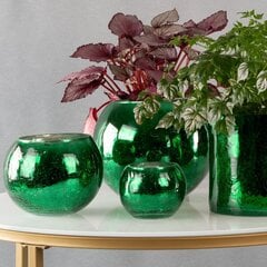 Lillevaas Eurofirany Verre3, 15x11 cm цена и информация | Вазоны | kaup24.ee