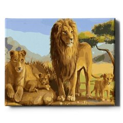Värvi numbri järgi Raamis "Aafrika lõvid" Oh Art! 40x50 cm hind ja info | Maalid numbri järgi | kaup24.ee