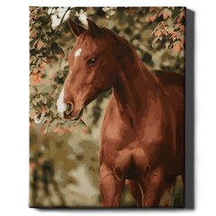 Värvi numbri järgi Raamis "Hobune aias" Oh Art! 40x50 cm hind ja info | Maalid numbri järgi | kaup24.ee